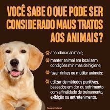 Noticia voce-sabe-o-que-pode-ser-considerado-maus-tratos-aos-animais